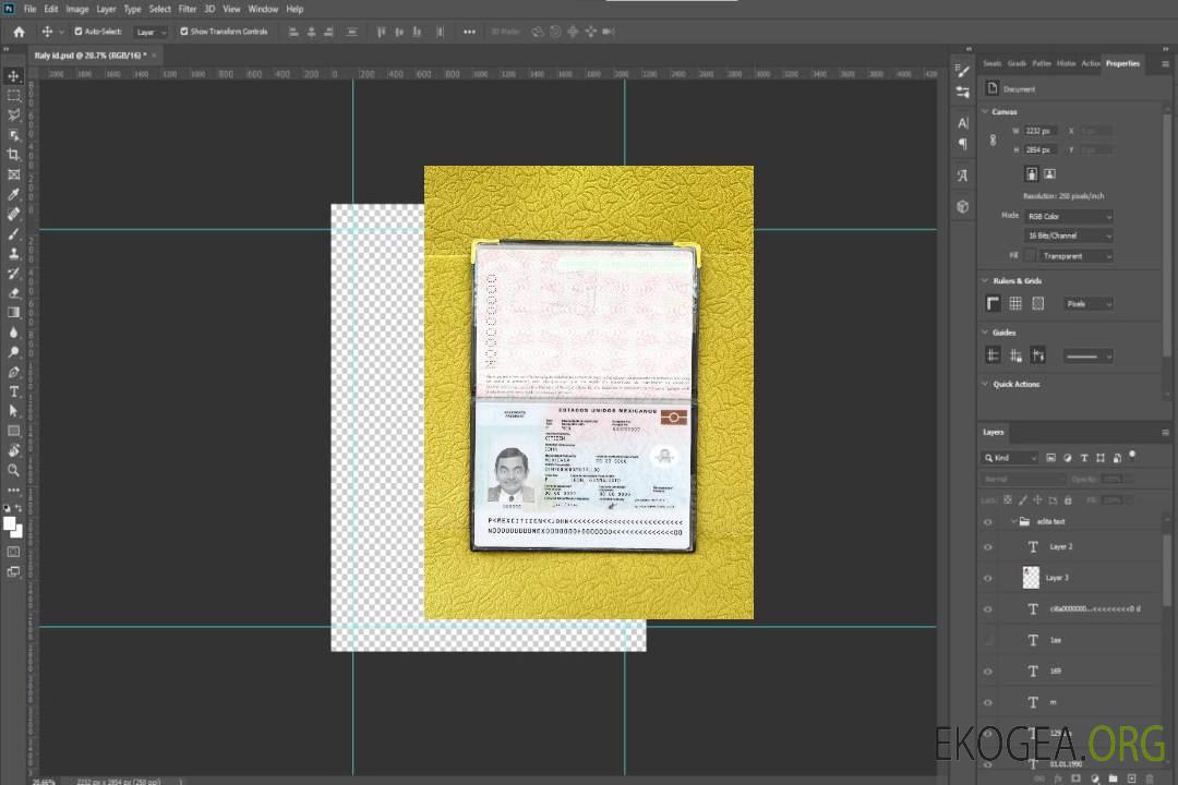 Nouveau photolook du passeport mexicain 2022-présent template